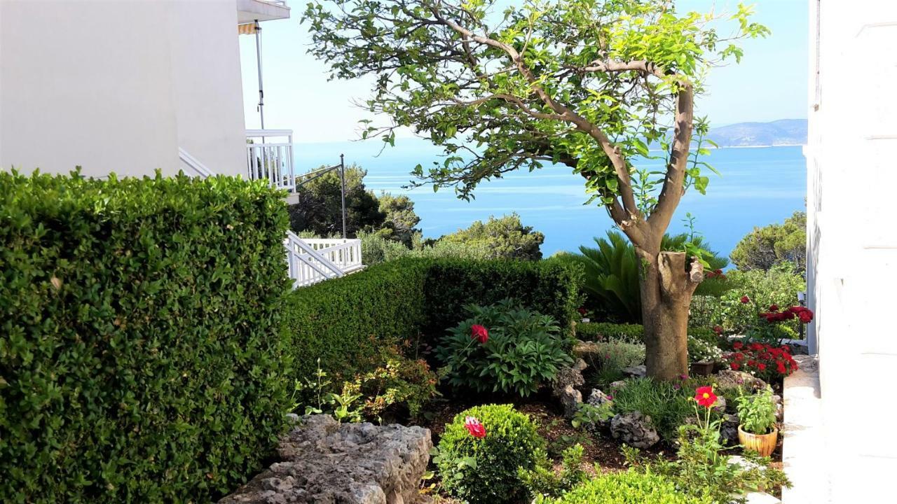 Guest House Fenix Brela Dış mekan fotoğraf